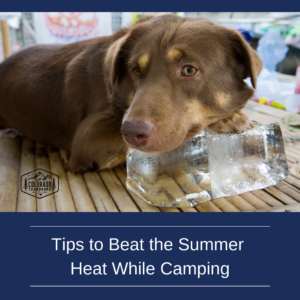 Tips to Beat the Summer Heat While Camping