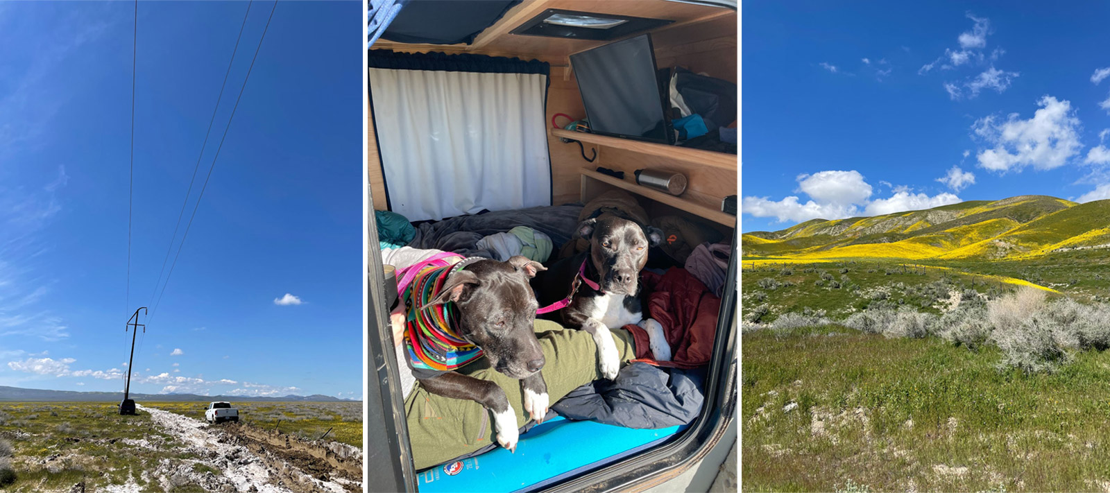 Carrizo Plain National Monument